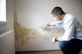 Mold Removal for HVAC Installations in Kihei, HI